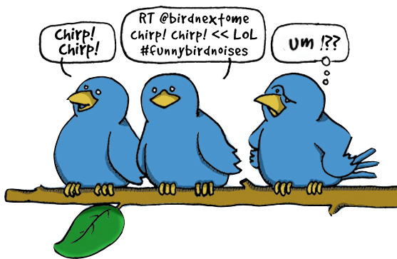 twitter-birds-funny.jpg